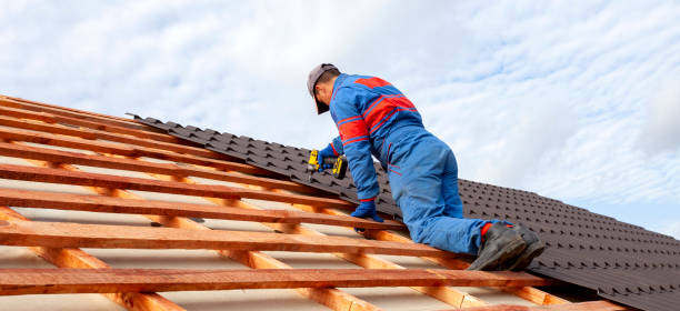 Best Roof Leak Repair  in South Beloit, IL